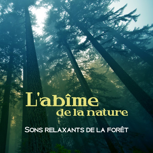 L'abîme de la nature: Sons relaxants de la forêt, contempler et sentir une nouvelle énergie
