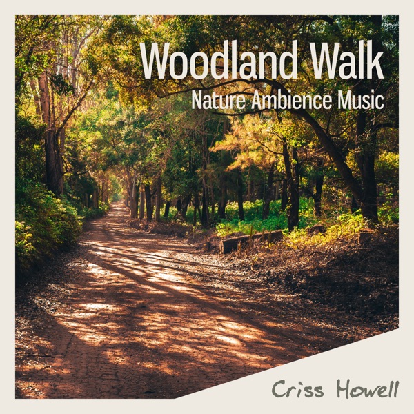 Woodland Walk (Nature Ambience Music)