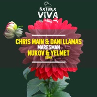 Maresman - Single - Chris Main & Dani Llamas