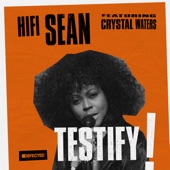 Testify (feat. Crystal Waters) [Extended] artwork