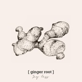 Ginger Root artwork