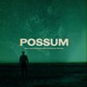 POSSUM - OST cover art