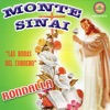 Monte Sinai - Cordero