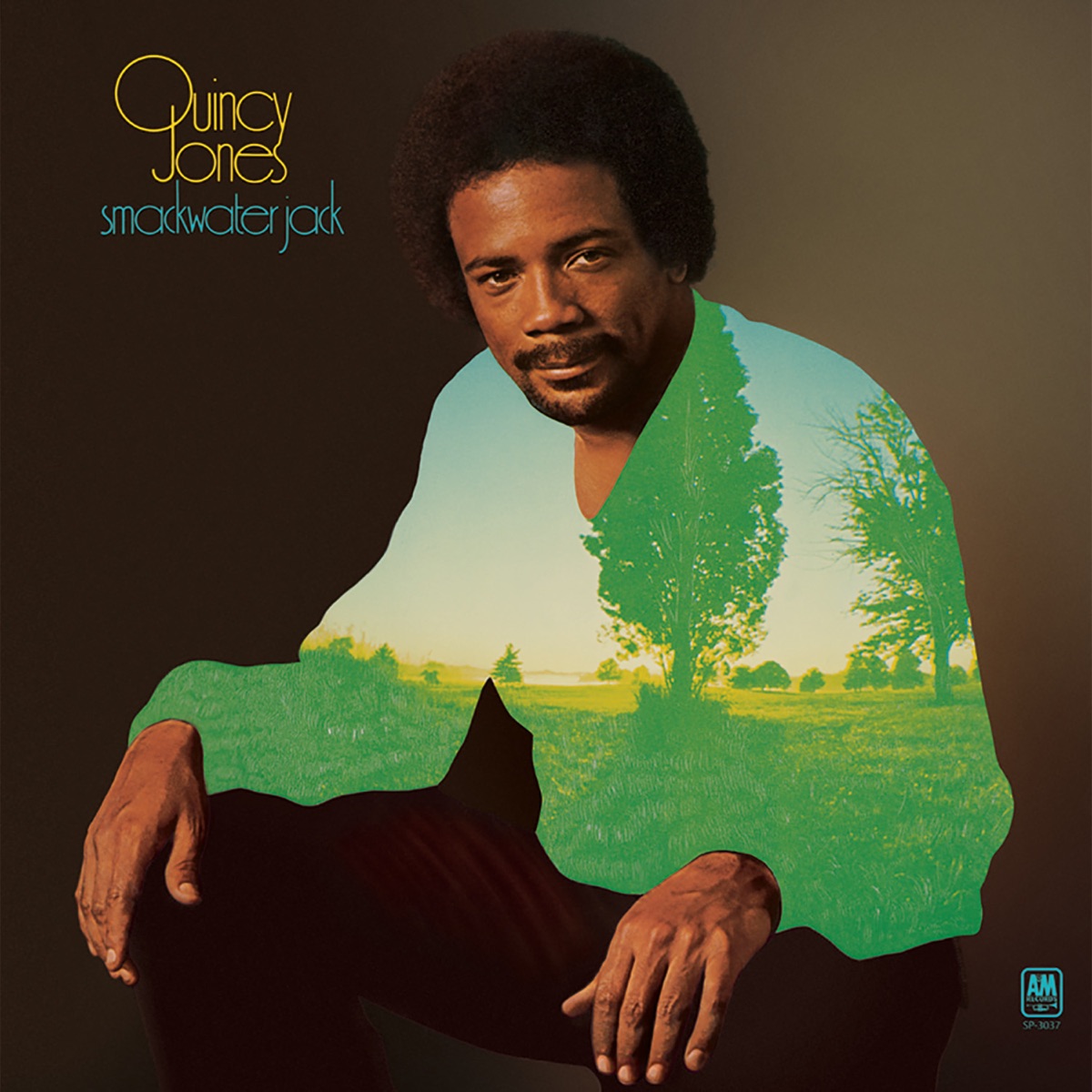 Q's Jook Joint - Album by Quincy Jones | Spotify