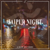 Jaipur Night artwork