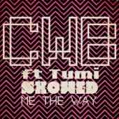 Showed Me the Way (feat. Tumi) artwork