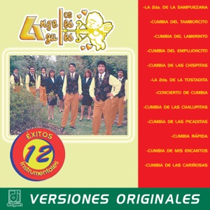 Cumbia De Las Picaditas