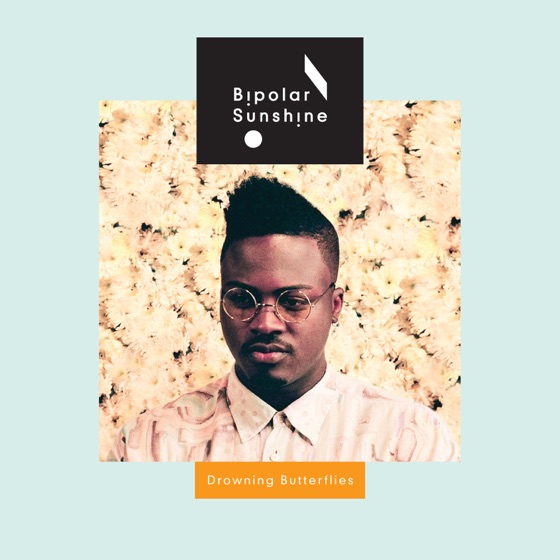 Cover artwork for Trouble