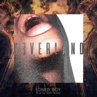 Neverland (feat. Lonely Boy) - Single - The Disclaimerz