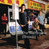 The Wallflowers - Letters from the Wasteland