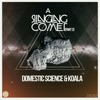 A Singing Comet - Single