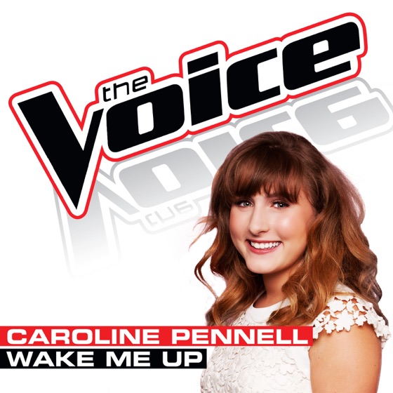 Cover artwork for Wake Me Up