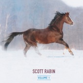 Scott Rabin - Wildfire