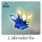 Istanbul (Osvaldo Carreira Remix) - Maroshi Sumo lyrics