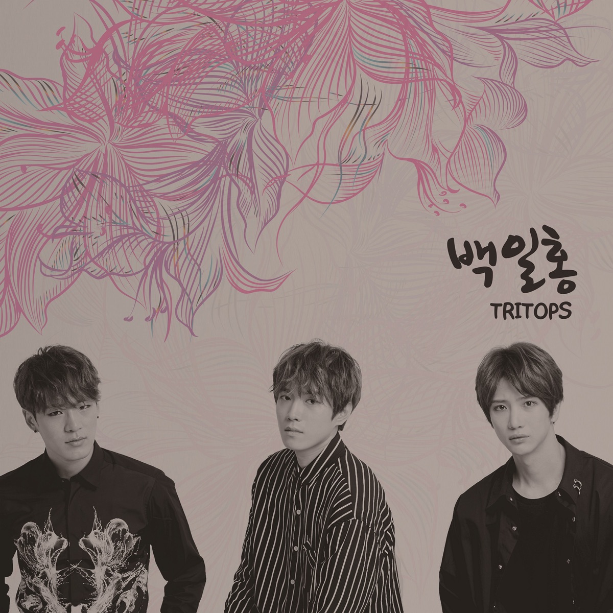 TRITOPS – Zinnia – Single