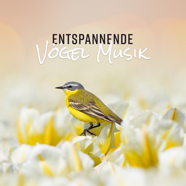 Entspannende Vögel Musik: Heilende Natur klingt nach Meditation, Wellness und Entspannung