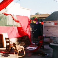 Roll with the Punches