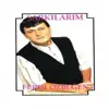 Ferdi Özbeğen - Dilek Taşı