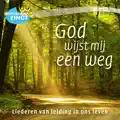 Ik Wandel in Het Licht