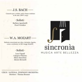 Concerto per due violini, archi e basso continuo in D Minor, BMW 1043: Vivace artwork