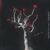 From Trees & Roses - EP