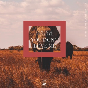 You Don't Love Me - Single