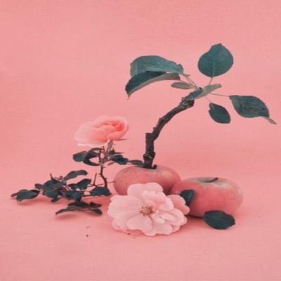 Stems - Single
