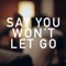 Say You Won't Let Go - Curricé lyrics