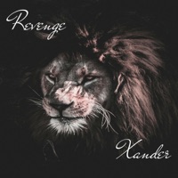 Revenge - Xander