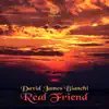 David James Bianchi - Aqueduct (Luke Odard Remix)