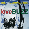 The Hummingbirds - loveBUZZ artwork
