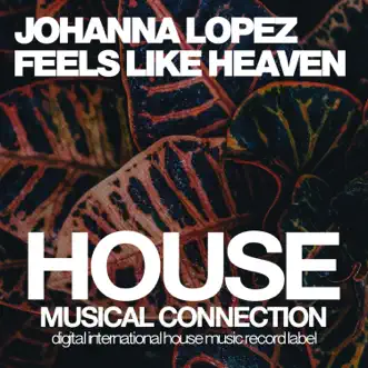 Feels Like Heaven - Single by Johanna Lopez album reviews, ratings, credits