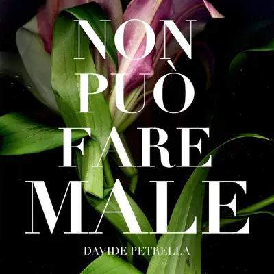 Non può fare male - Single - Davide Petrella