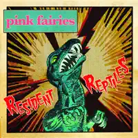Mirage — Pink Fairies