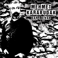 HER AĞACIN KURDU