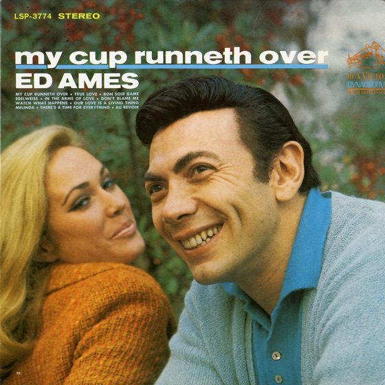 Cover artwork for Bon Soir Dame