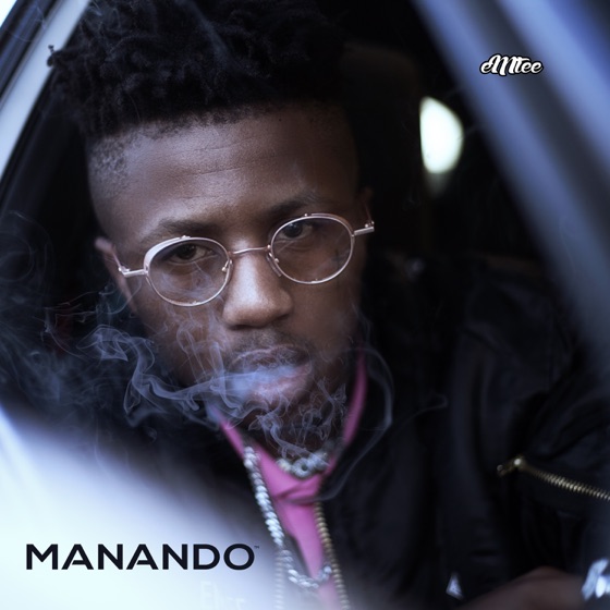 Cover artwork for I Try