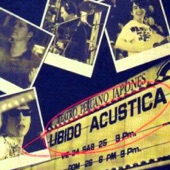 Libido Acústica artwork