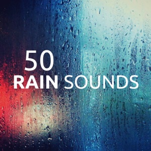 50 Rain Sounds