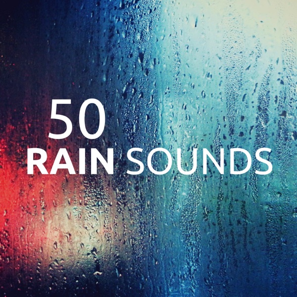 50 Rain Sounds