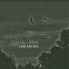 Signals And Alibis