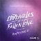 Chronicles of a Fallen Love (Remixes), Pt. 2