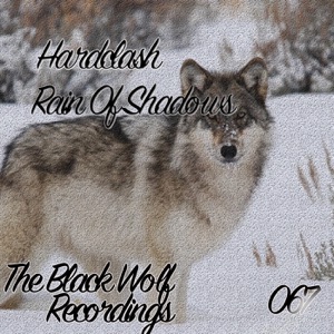 Rain of Shadows - Single