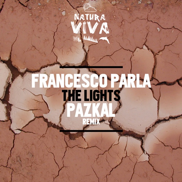 The Lights - Single