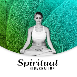 Spiritual Hibernation: Divine Rest, Meditation Time, Full Emotional Relief, Inner Peace and Balance with Healing Hz Frequencies