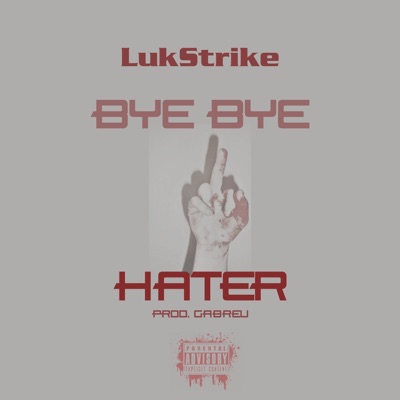Bye Bye Hater - Single