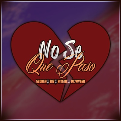 No Se Que Paso (feat. Bi2, Rits Rc & Mc Wyser) - Single