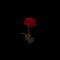 Luna (feat. Curtis Heron & Evva) - VAGUE003 lyrics