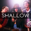 Shallow - Single