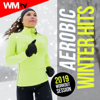 Aerobic Winter Hits: 2019 Workout Session - Various Artists